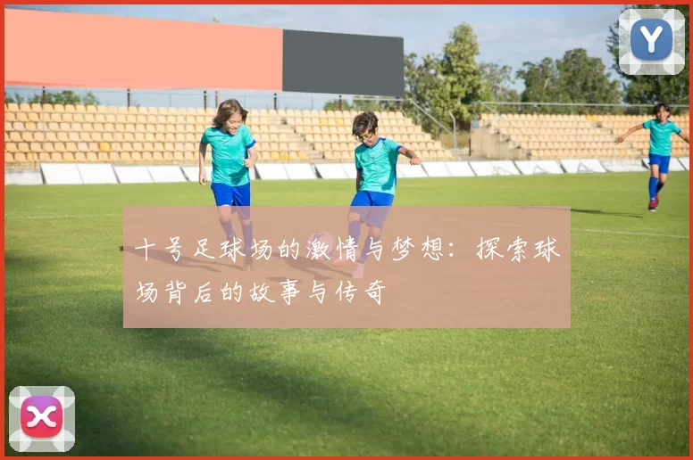 十号足球场的激情与梦想：探索球场背后的故事与传奇