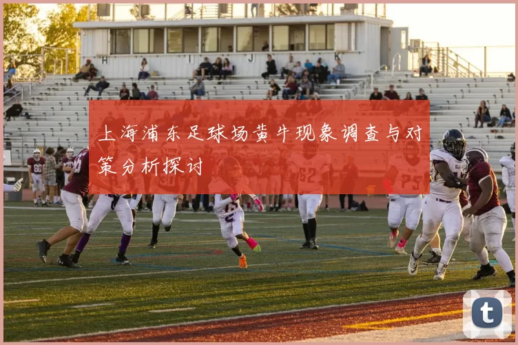 上海浦东足球场黄牛现象调查与对策分析探讨