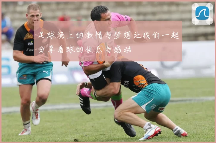 足球场上的激情与梦想让我们一起分享看球的快乐与感动