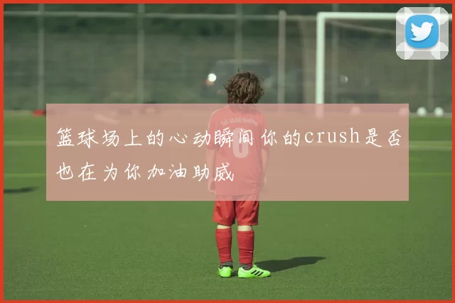 篮球场上的心动瞬间你的crush是否也在为你加油助威